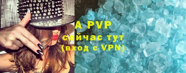 хмурый Белокуриха