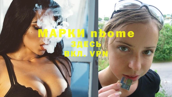 хмурый Белокуриха