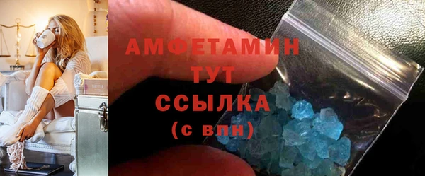 хмурый Белокуриха