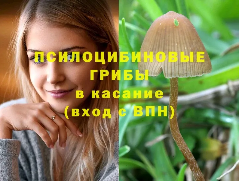 Галлюциногенные грибы GOLDEN TEACHER  Верхний Тагил 