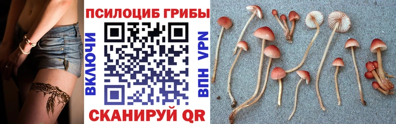 Галлюциногенные грибы ЛСД  MEGA вход  Верхний Тагил 